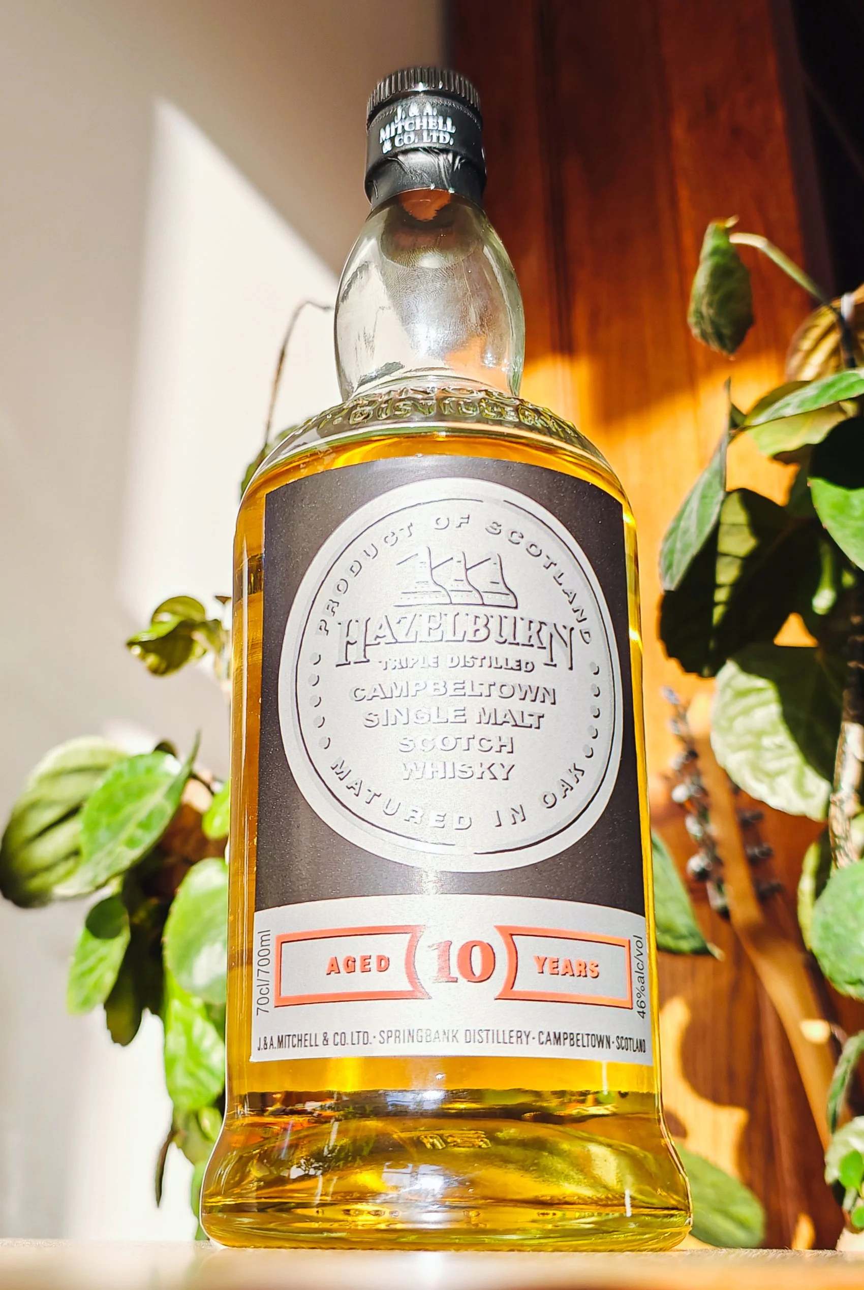 HAZELBURN 10年 シングルモルトウイスキー Hazelburn 10 Year Single Malt Scotch Whisky | The Barrel Tap